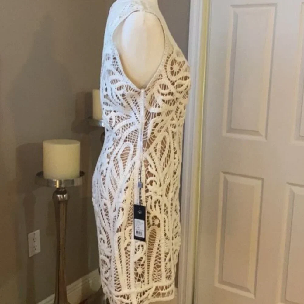 Tadashi Shoji NWT Illusion Crochet Lined Dress - Picture 2 of 16